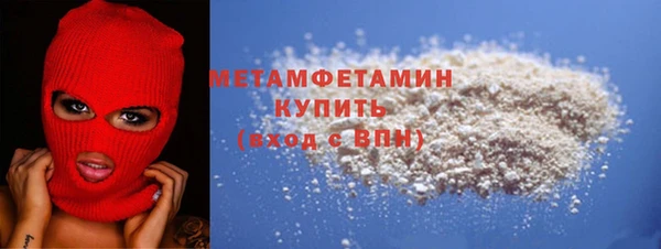 прущие грибы Медвежьегорск