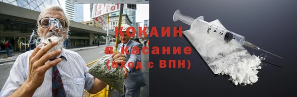 прущие грибы Медвежьегорск
