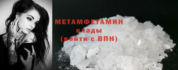 прущие грибы Медвежьегорск