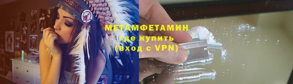 прущие грибы Медвежьегорск