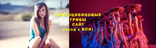 прущие грибы Медвежьегорск