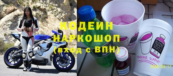 прущие грибы Медвежьегорск