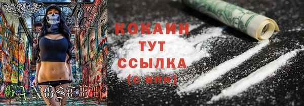 прущие грибы Медвежьегорск