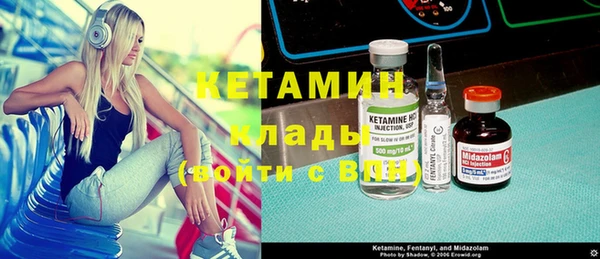прущие грибы Медвежьегорск