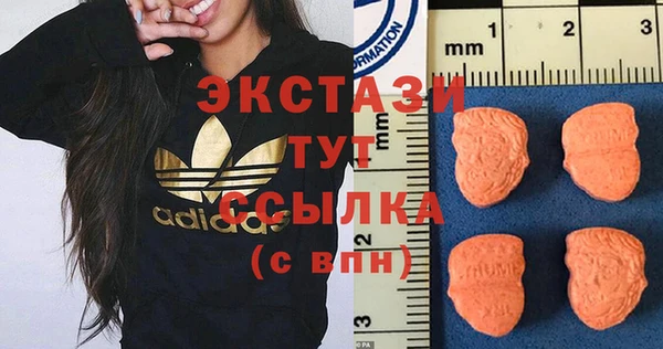 прущие грибы Медвежьегорск