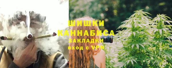 стафф Медногорск