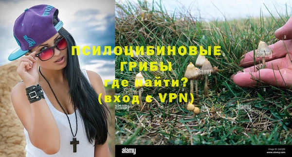 стафф Медногорск