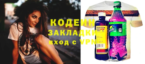 прущие грибы Медвежьегорск