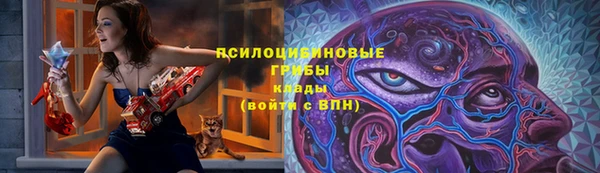 прущие грибы Медвежьегорск