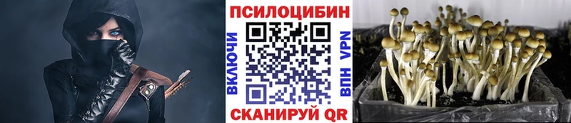Псилоцибиновые грибы ЛСД  цены наркотик  mega ТОР  Семёнов 